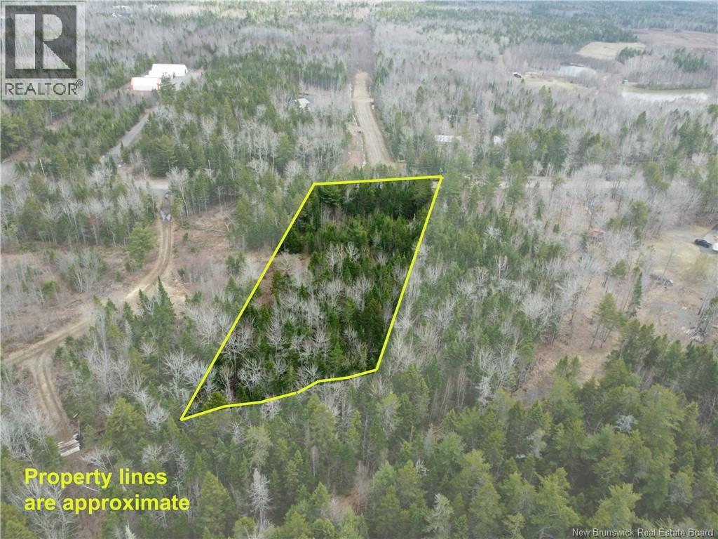 Lot 25-1 Niagara Road Property Photo 17
