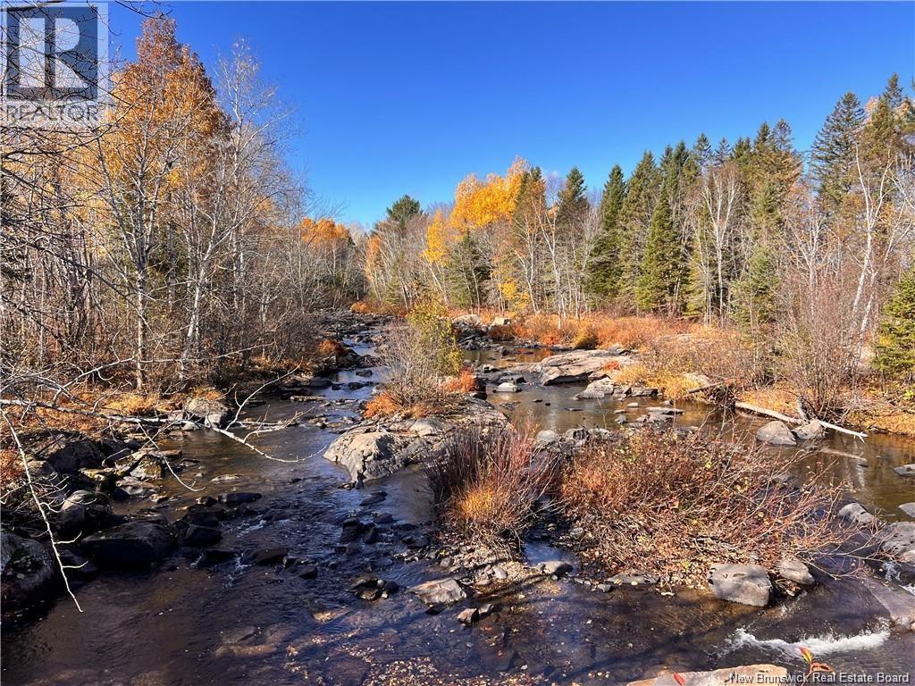 243 Acres Little River Road Property Photo 3