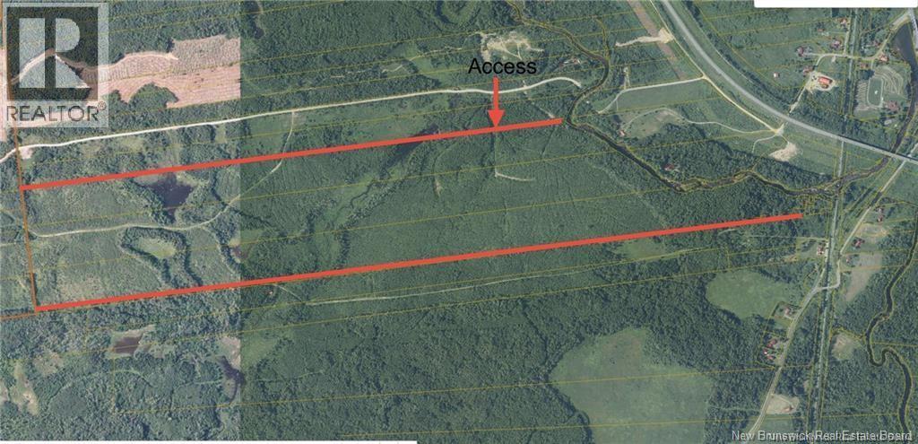 243 Acres Little River Road Property Photo 5