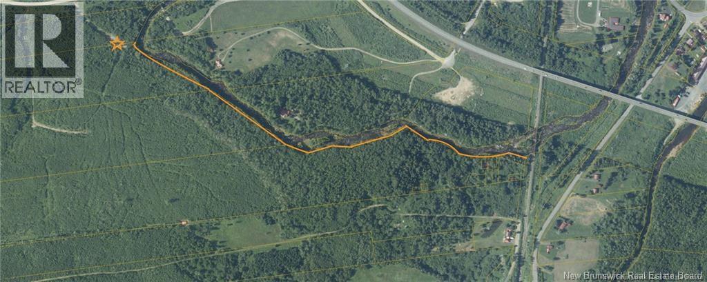 243 Acres Little River Road Property Photo 6