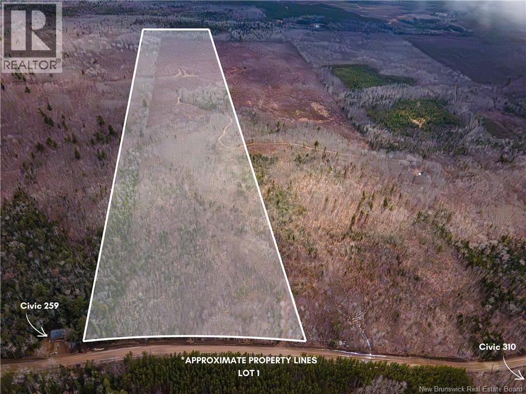 Lot 1 South Canaan Road Property Photo 1