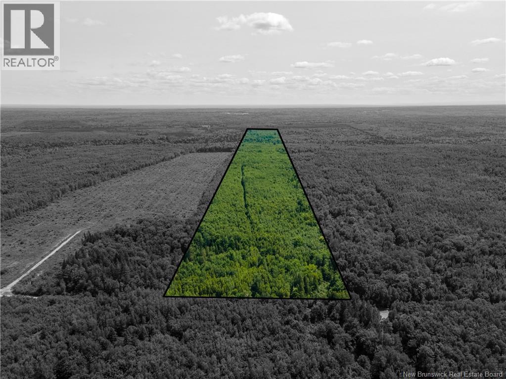 Lot 53 Alexandrina Road Property Photo 1