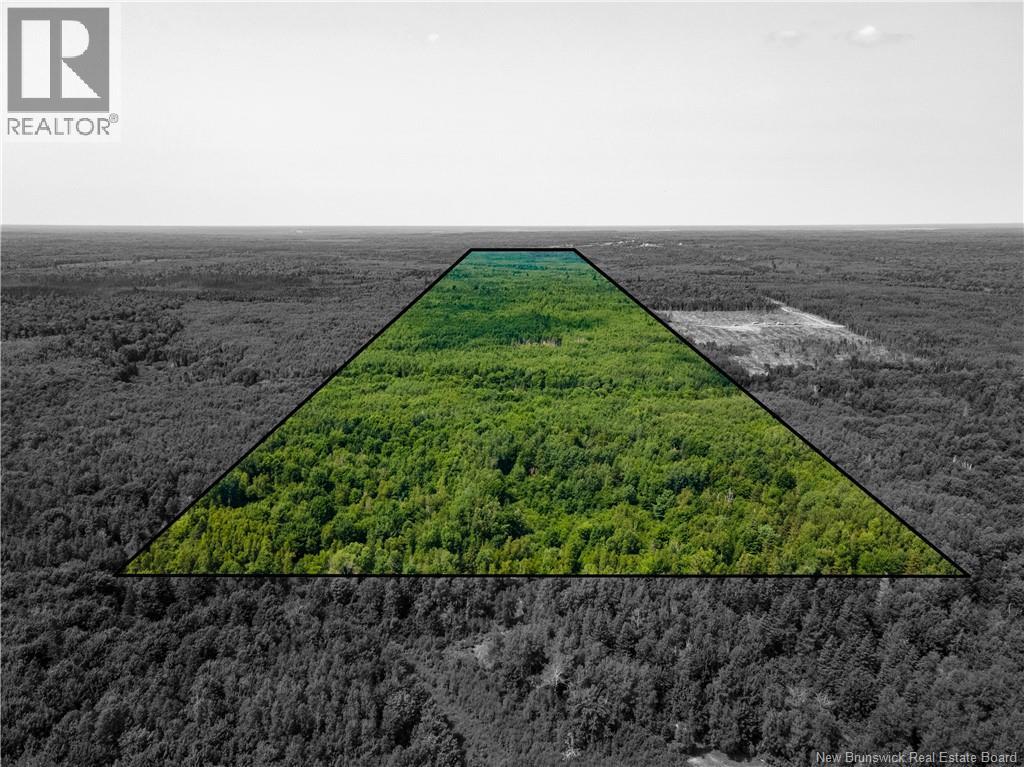 Lot 58 Alexandrina Road