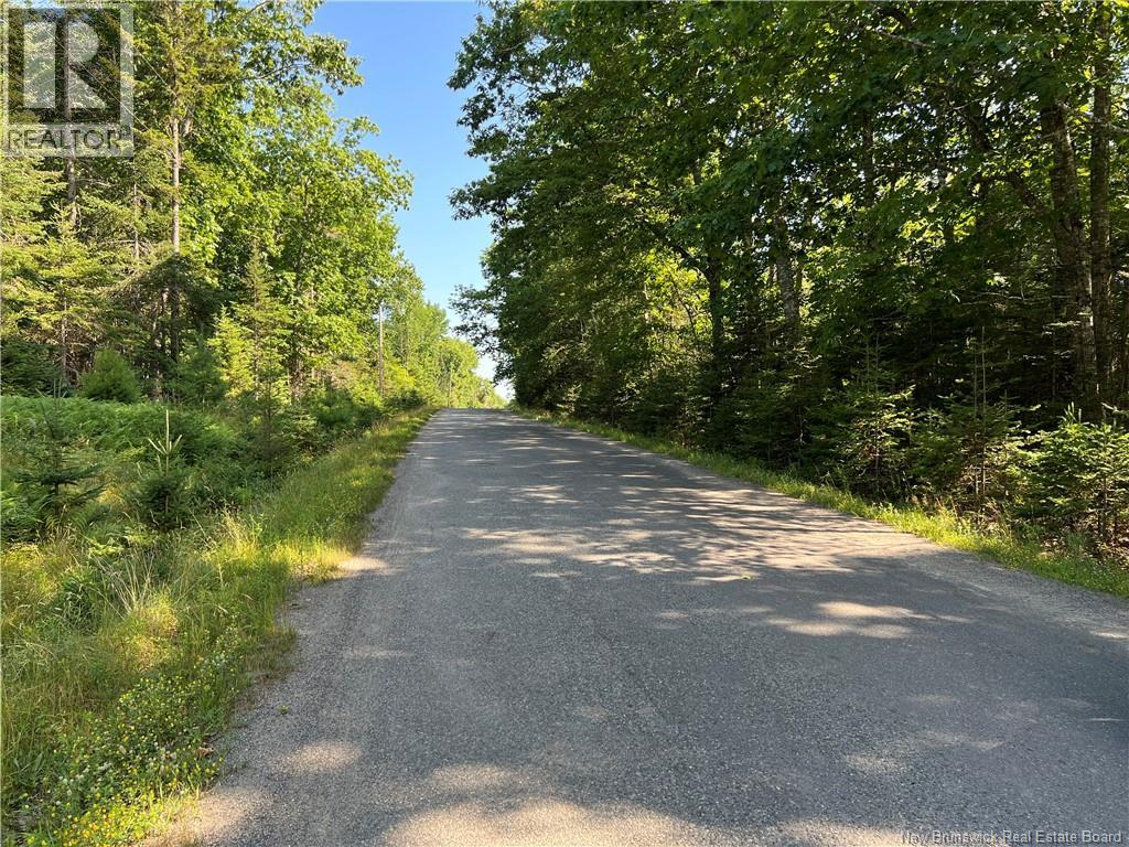 Hills Point Road Property Photo 3