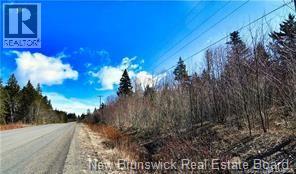 Lot 88-109 Bunker Hill Road Property Photo 2