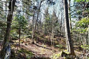 Lot 88-109 Bunker Hill Road Property Photo 3