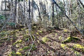 Lot 88-109 Bunker Hill Road Property Photo 4