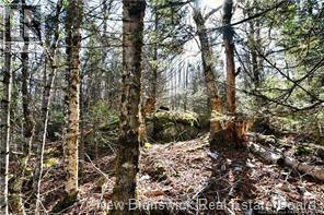Lot 88-109 Bunker Hill Road Property Photo 5