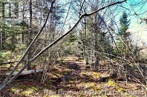 Lot 88-109 Bunker Hill Road Property Photo 6