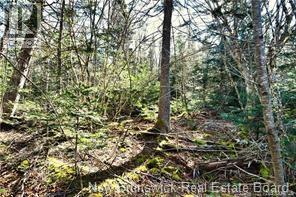 Lot 88-109 Bunker Hill Road Property Photo 7