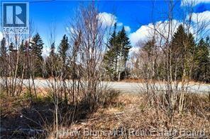 Lot 88-109 Bunker Hill Road Property Photo 8