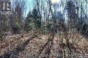 Lot 88-109 Bunker Hill Road Property Photo 9