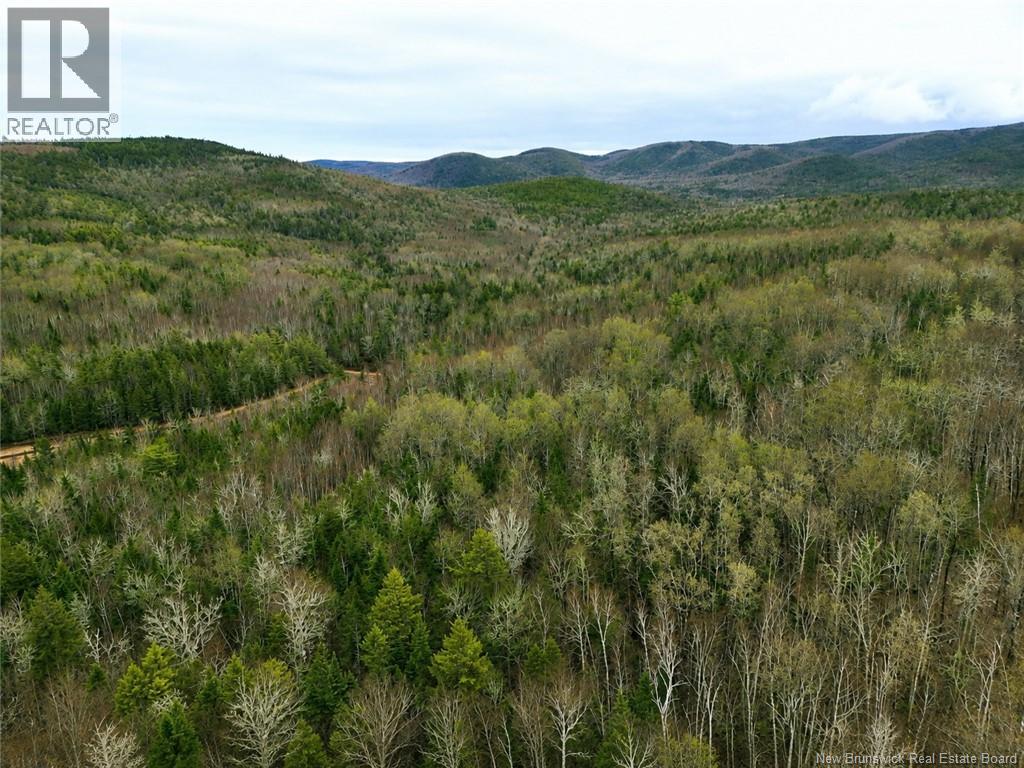 Lot Shaw Road Property Photo 2