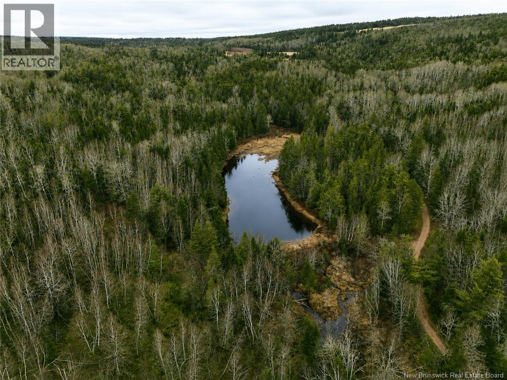 Lot Shaw Road Property Photo 3