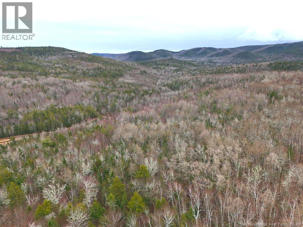 Lot Shaw Road Property Photo 11