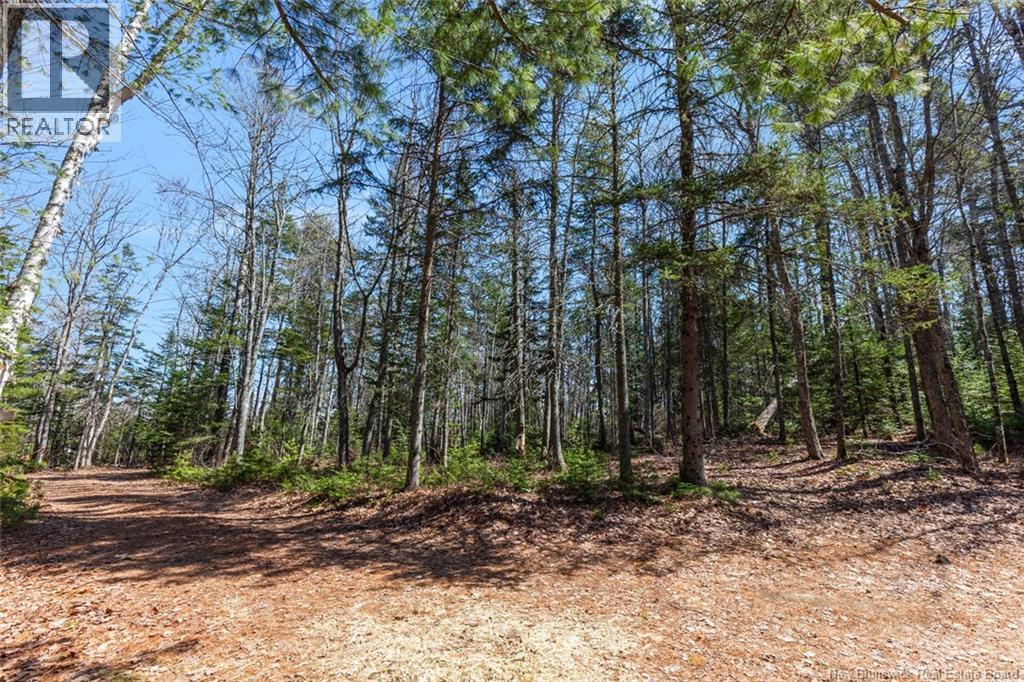 45 Gesner Lane Property Photo 36