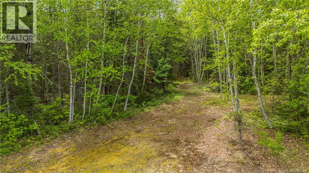 6842 Route 8 Property Photo 32