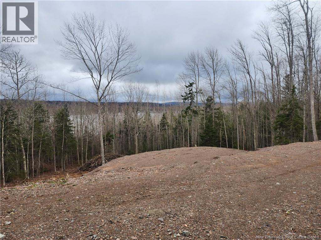 Lot A-1 Pickwauket Property Photo 15