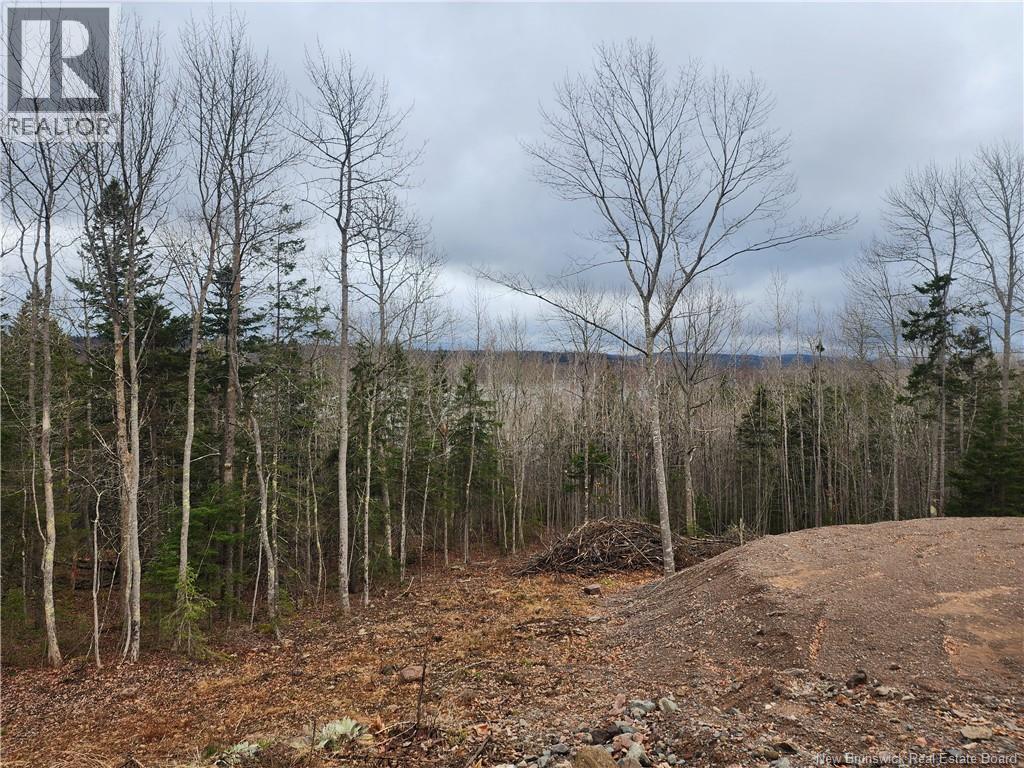 Lot A-1 Pickwauket Property Photo 19