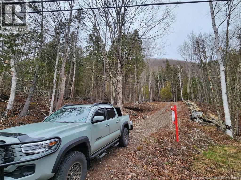 Lot A-4 Pickwauket Property Photo 14