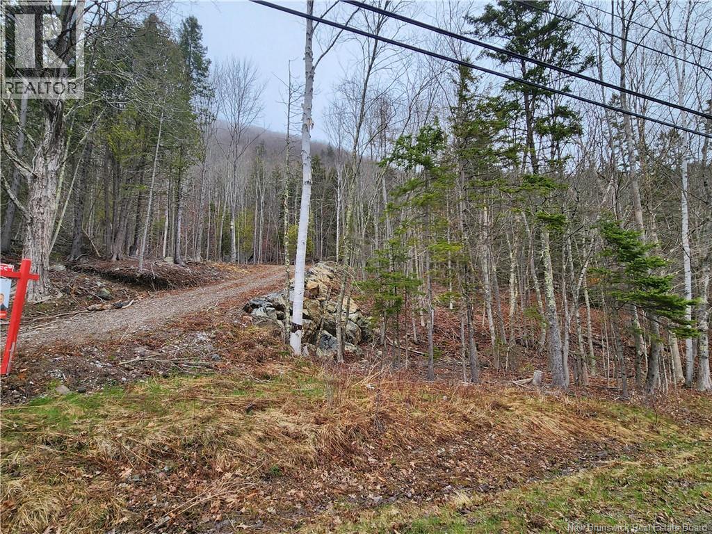 Lot A-4 Pickwauket Property Photo 16