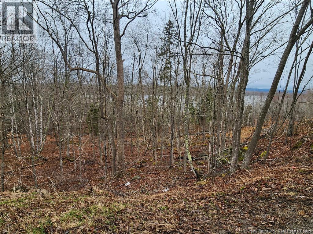 Lot A-4 Pickwauket Property Photo 17