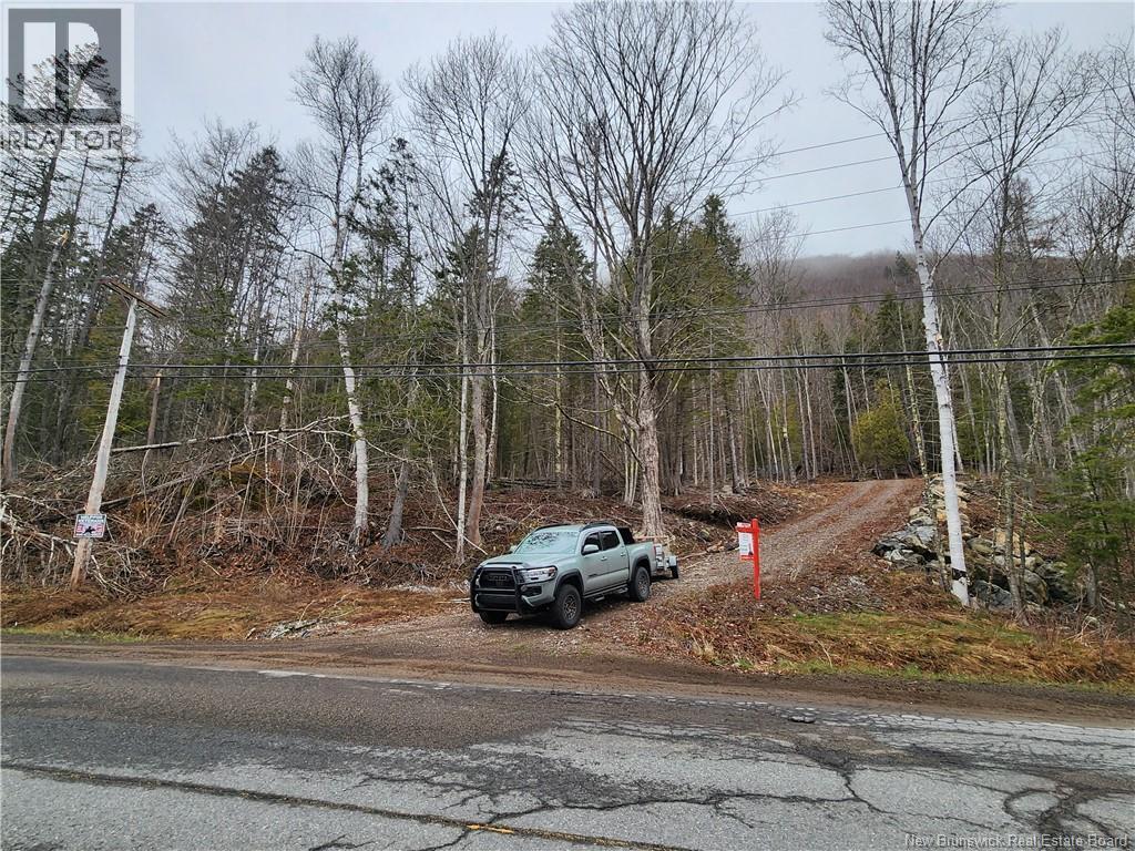 Lot A-4 Pickwauket Property Photo 19