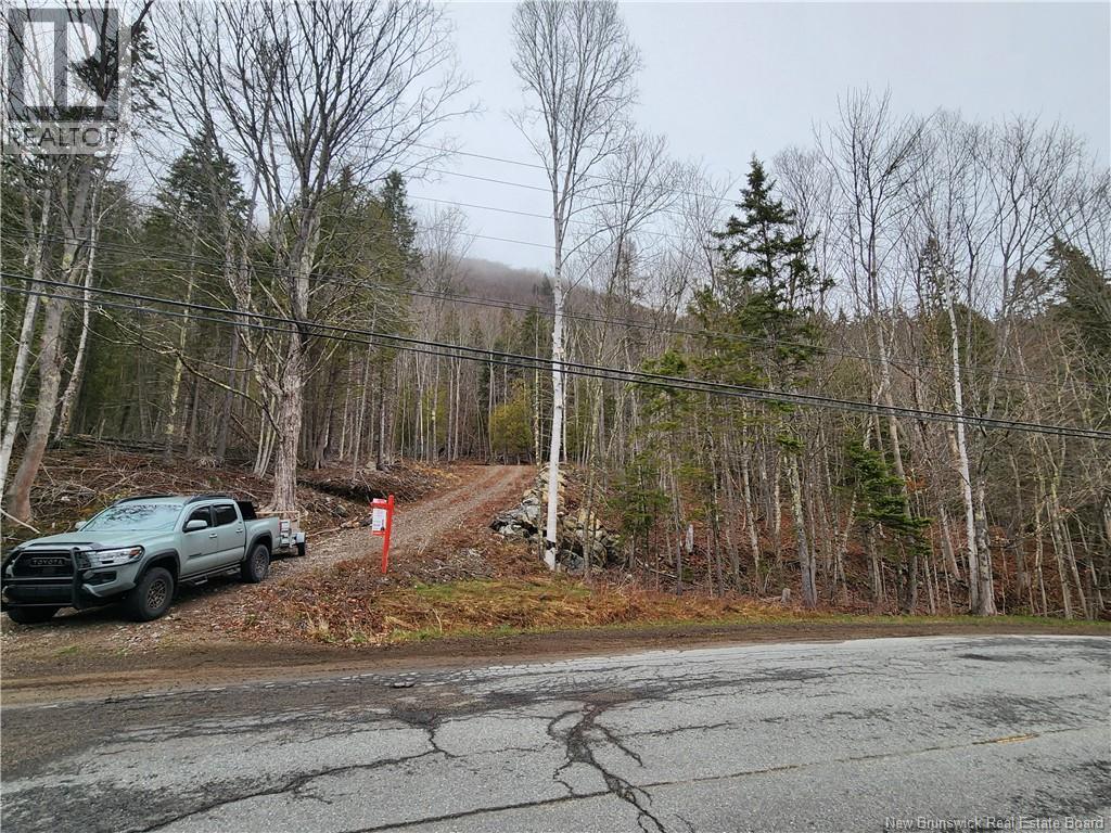 Lot A-4 Pickwauket Property Photo 20