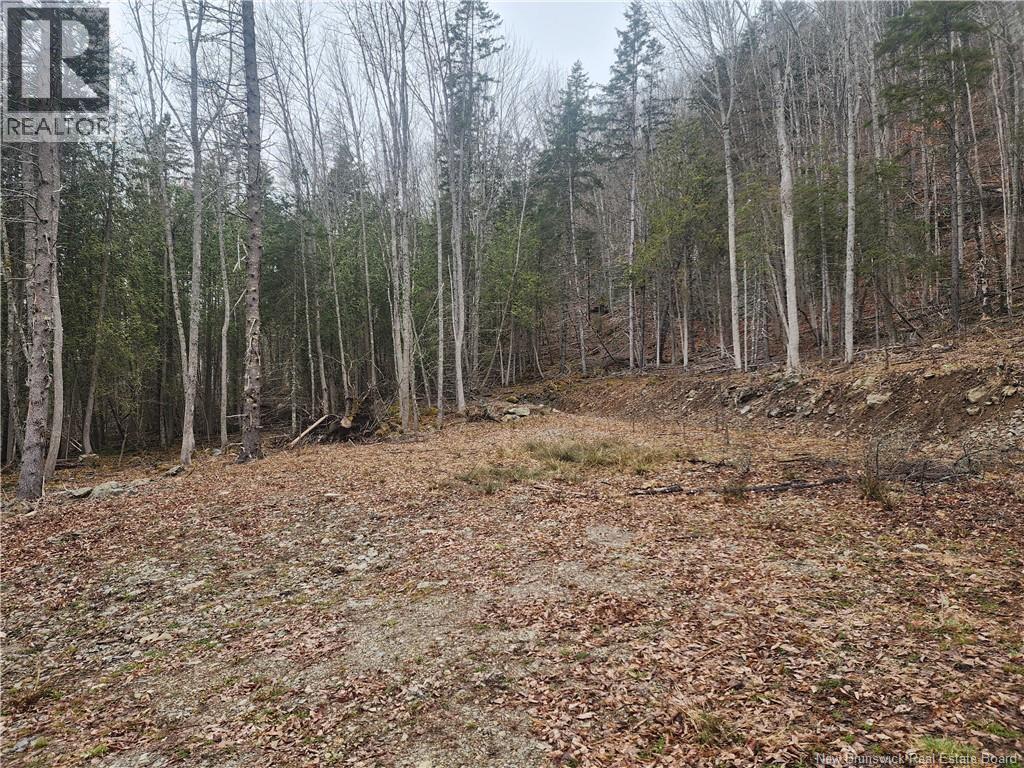 Lot A-4 Pickwauket Property Photo 23