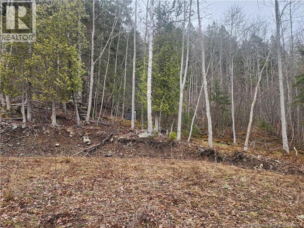 Lot A-4 Pickwauket Property Photo 25