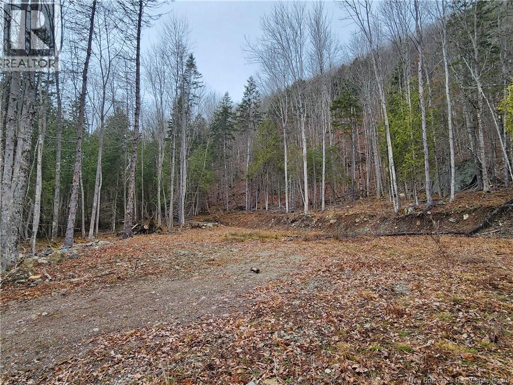 Lot A-4 Pickwauket Property Photo 27