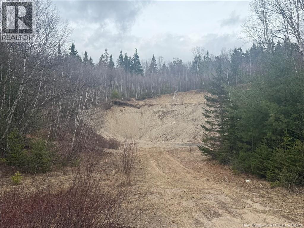 Vacant Land Route 785 Property Photo 3