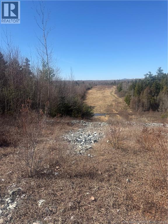 Vacant Land Route 785 Property Photo 4
