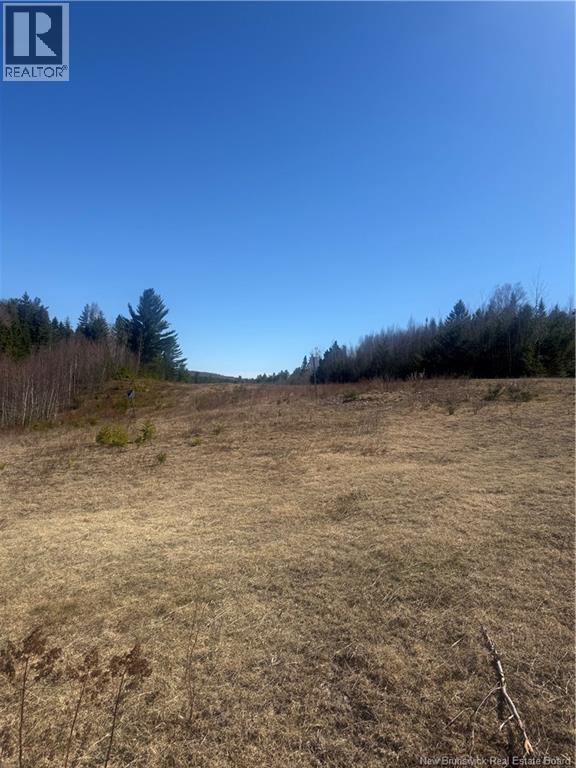 Vacant Land Route 785 Property Photo 5