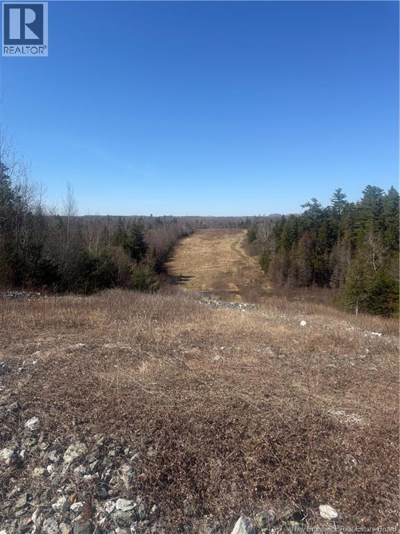 Vacant Land Route 785 Property Photo 6