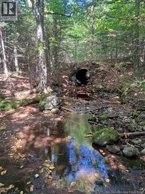 0 Mosher Hill Road Property Photo 2