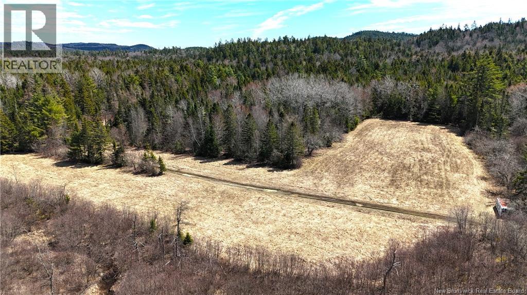 2969 Route 127 Property Photo 36