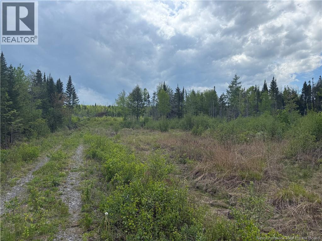 0 Benton Road Property Photo 3