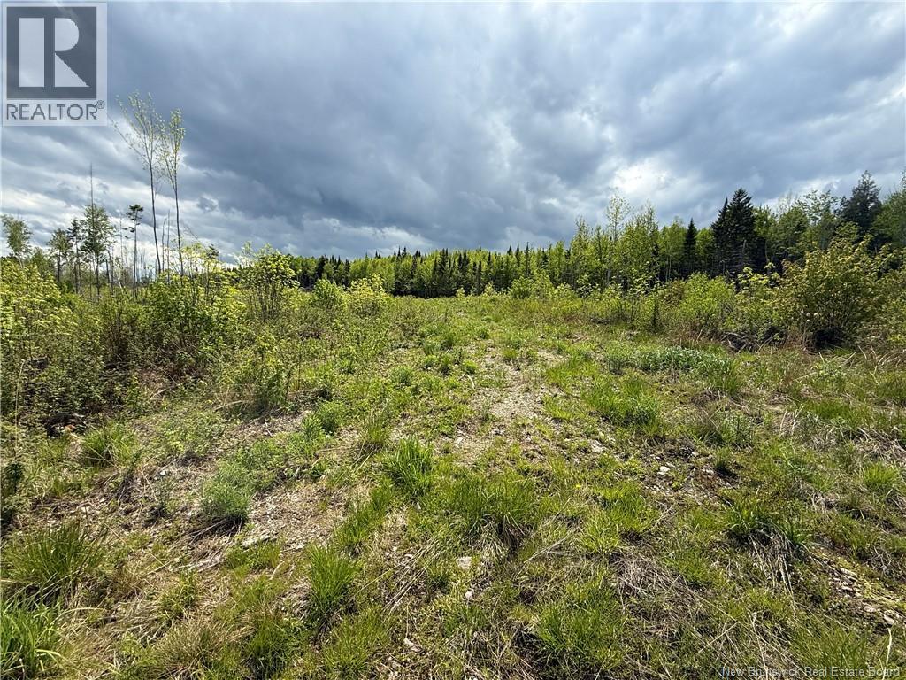 0 Benton Road Property Photo 6