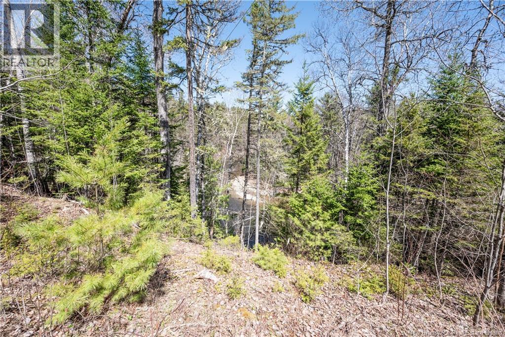 27 Parkindale Road Property Photo 40