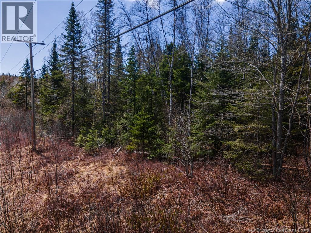 6105 Route 111 Property Photo 12