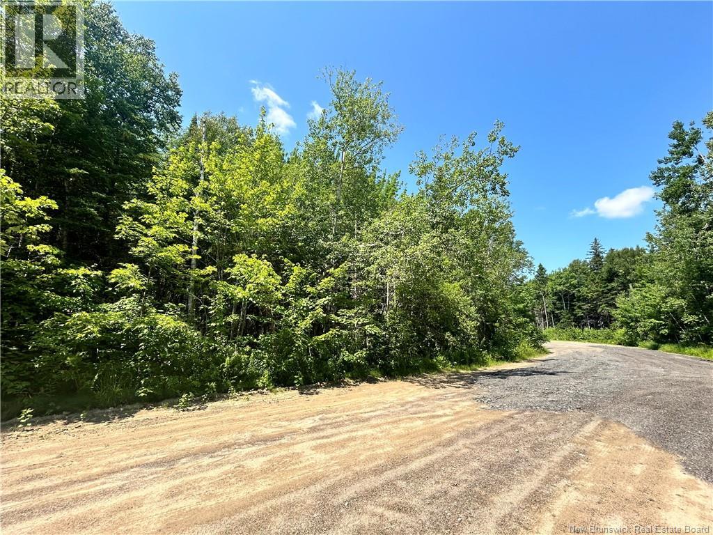 Lot David Property Photo 4