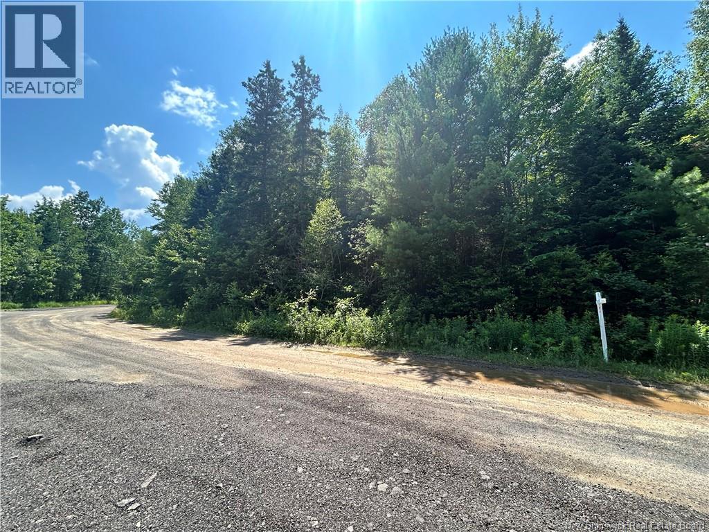 Lot David Property Photo 5
