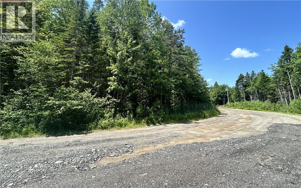 Lot David Property Photo 6