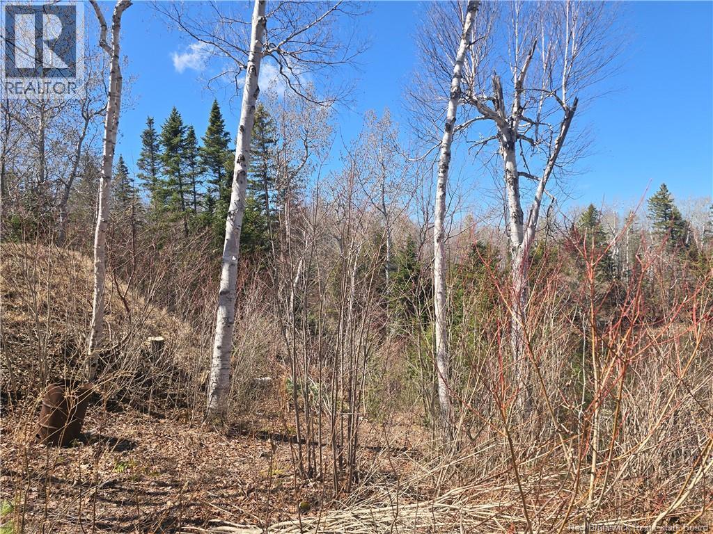 Lot 07-2 Straight Brook Road Property Photo 12