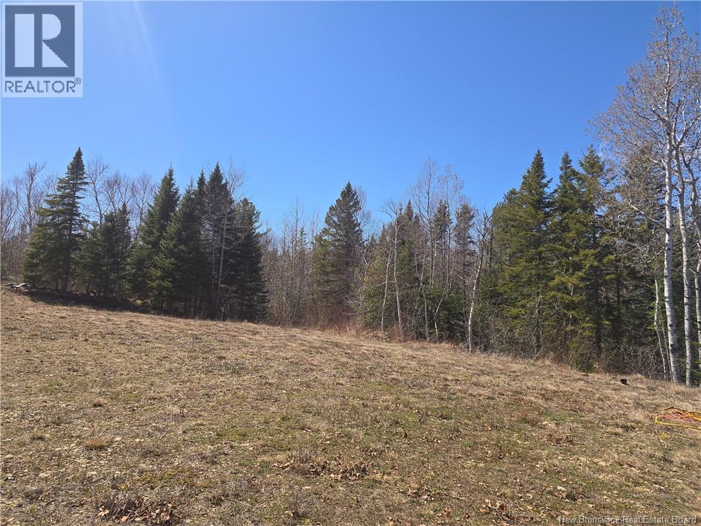 Lot 07-2 Straight Brook Road Property Photo 27