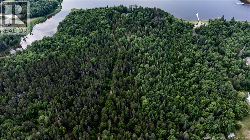 Vacant Lot Saint-ignace Property Photo 5