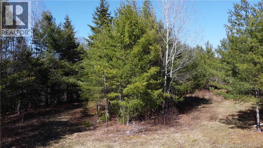 00 Route 101 Property Photo 12