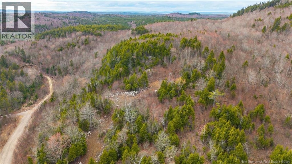 Lot 6-1191 Route 785 Property Photo 6