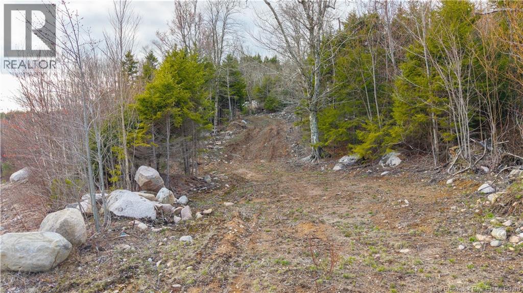 Lot 6-1191 Route 785 Property Photo 20